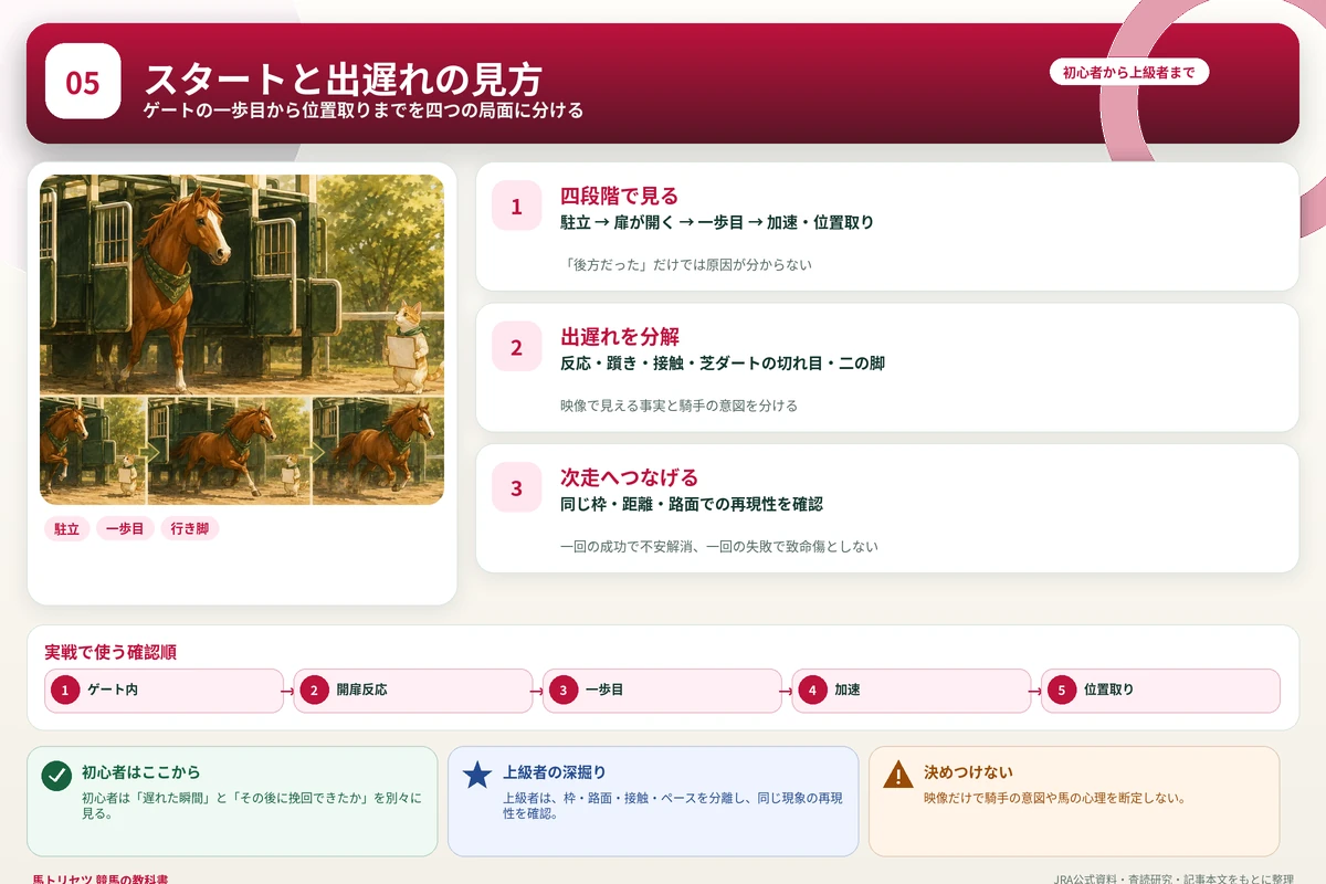 ゲート内から一歩目、行き脚、最初の位置取りまでを四段階で整理した図解