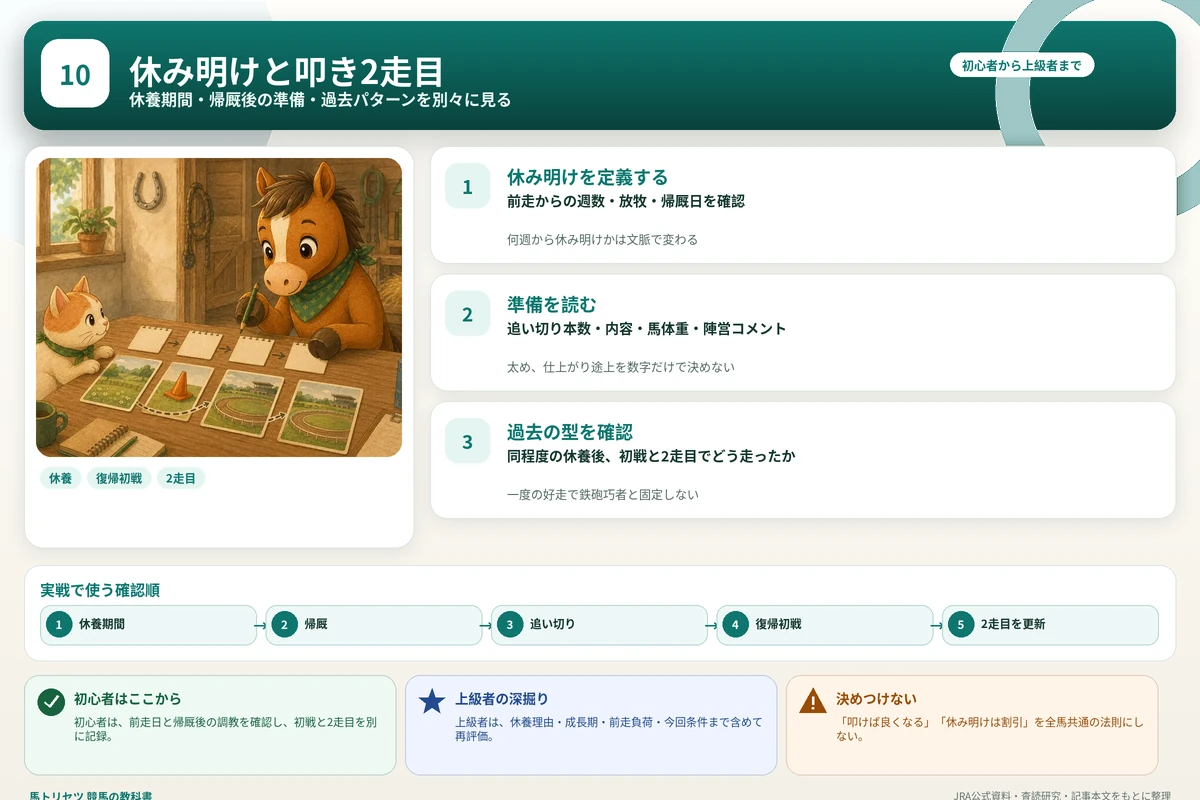 休養期間、帰厩後の準備、復帰初戦、叩き2走目を時系列で確認する図解