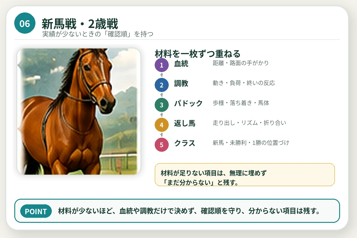 若い競走馬と血統・調教・パドック・返し馬の確認順を整理した図解