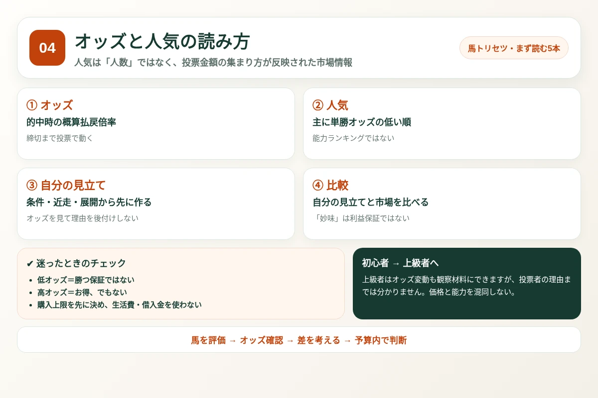 オッズと人気の読み方の確認順と注意点を整理した図解