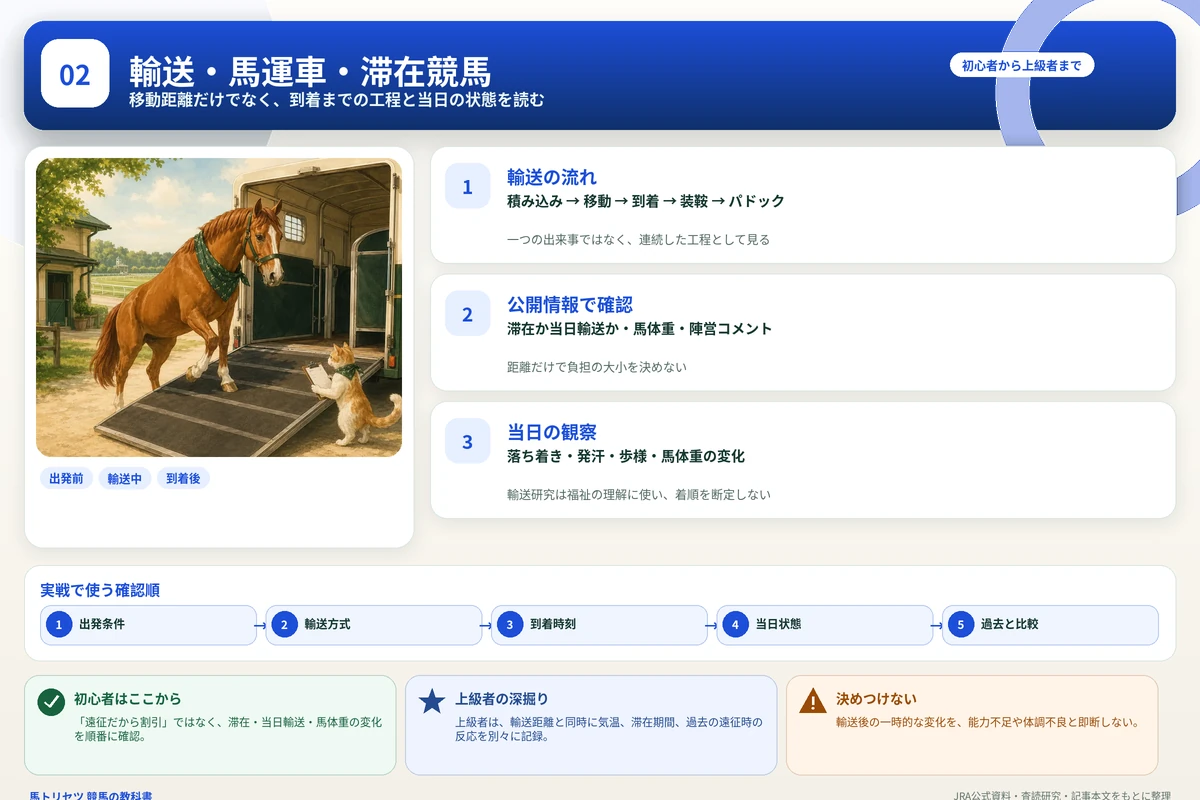 競走馬の輸送工程、滞在競馬、到着後の確認順を整理した図解